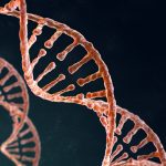 Informatie over DNA-tests